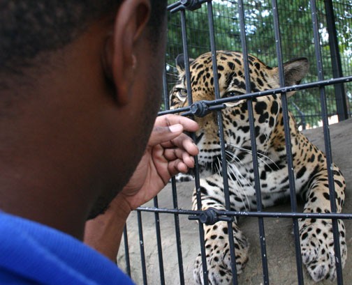 Student caretaker Jason Dogan and Lacumba enjoy each others company at Lacumba's playpen.