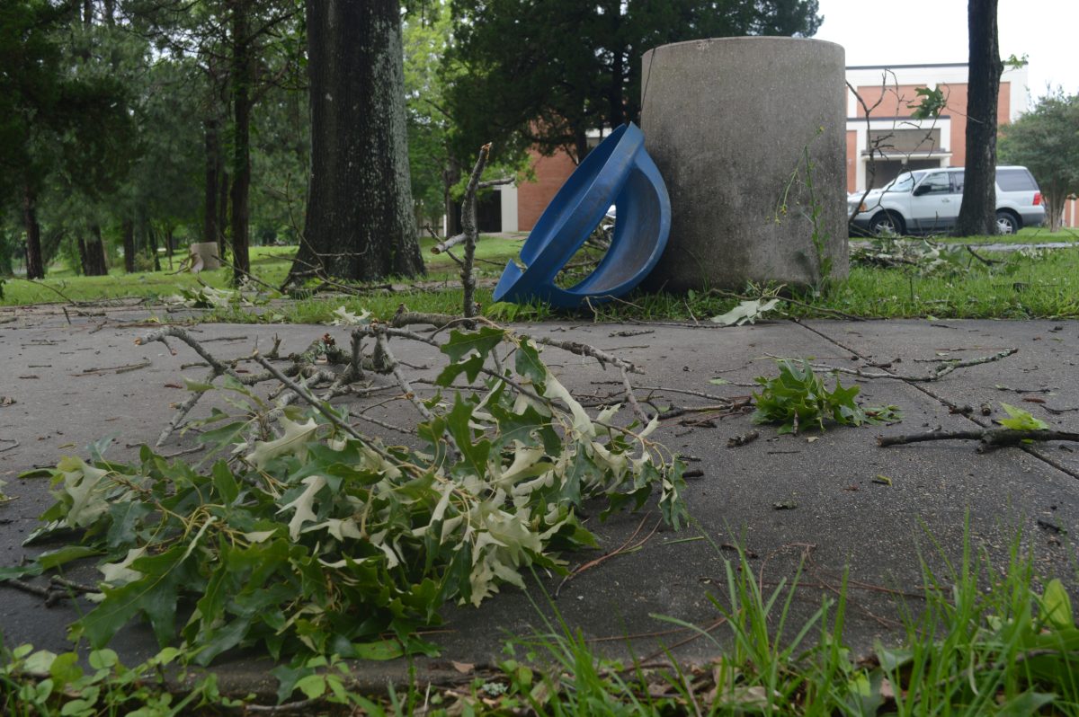 A fallen tree limb lays on the footbridge leading to Mayberry Dining Hall.