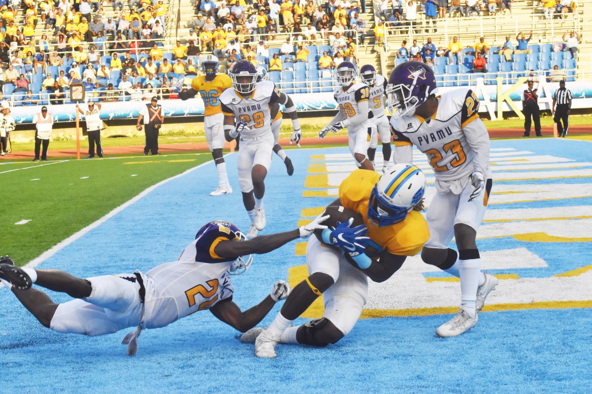 <p>Sophmore tight end, Jeremias Houston, catches the pass from Austin Howard for a Jaguar touchdown in the last home game of the season, on Saturday November 4 (Arnita Dove/DIGEST)</p>