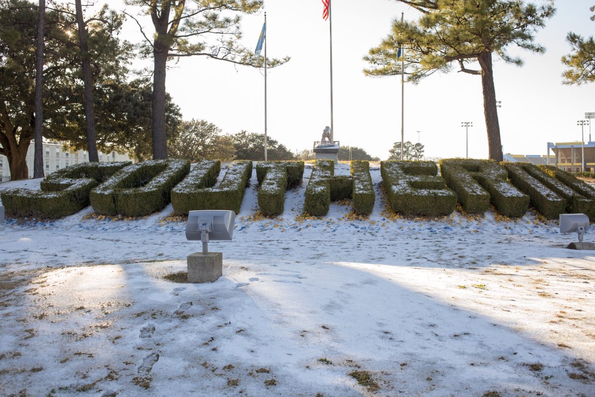 Let It Sneaux: Inclement Weather Causes Campus Shutdown