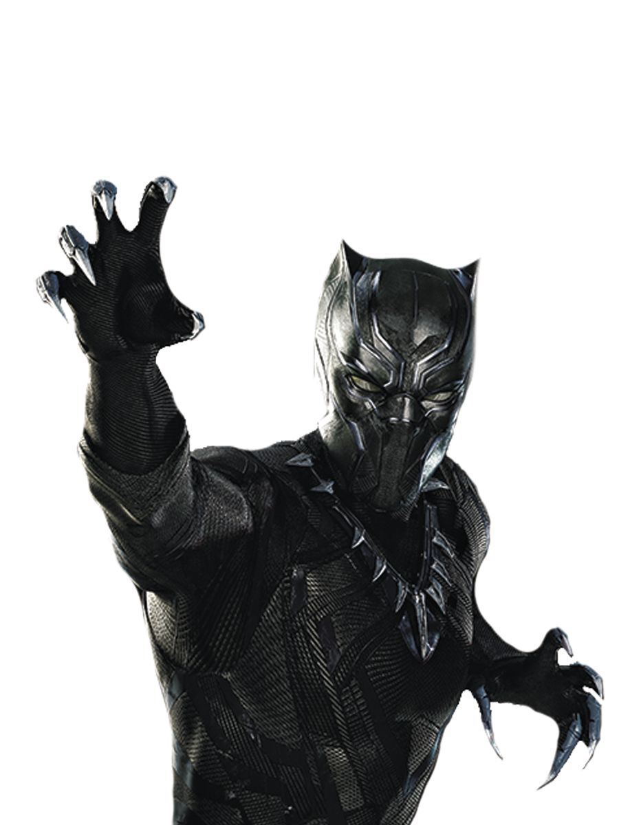 Black Panther: A Review