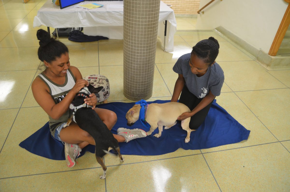 Senior Animal Science majors; Macy Caesar and De&#8217;Shonna Jones; play with their dogs during the Dog Therapy and Pet Visitation on campus at Pinkie E Thrift Hall; on Thursday March 28. (Jairus Moore/DIGEST)