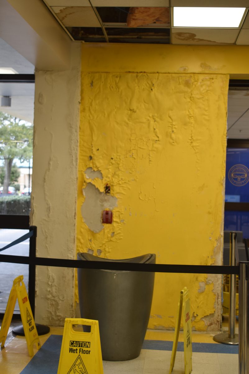 <p>Wall peeling caused by a roof leak located next to Prime Grill in the Smith-Brown Memorial Student Union. (Brittany J. Patterson/DIGEST)</p>