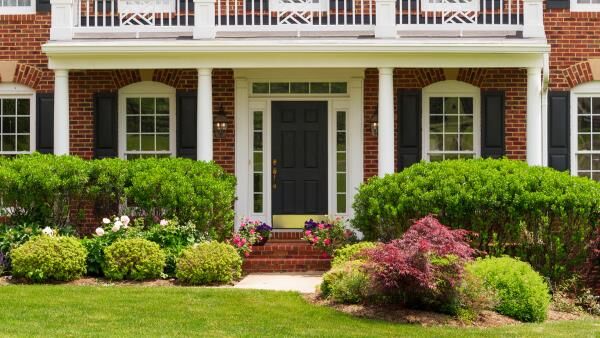 Expert Landscaping Tips for Choosing and Installing Plants