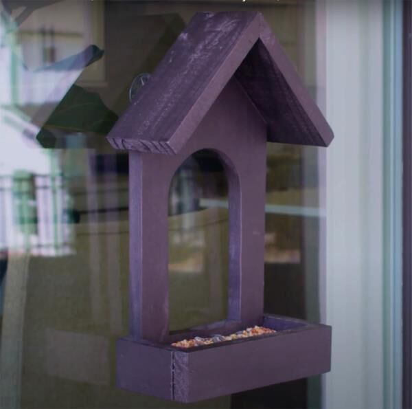 Build Your Own Window Feeder for Summer Bird Watching