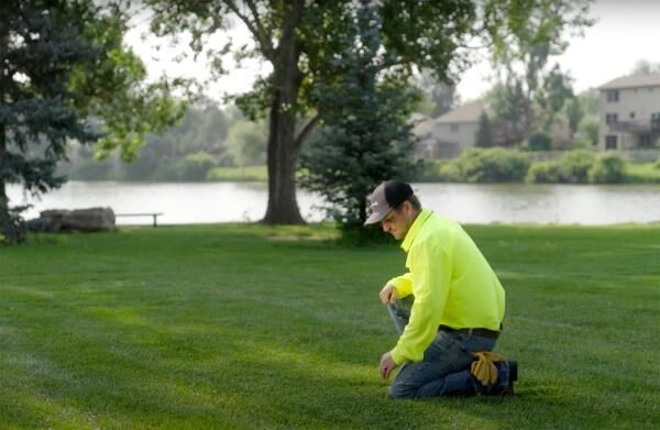 Summer Mowing Tips for a Healthy, Lush Lawn