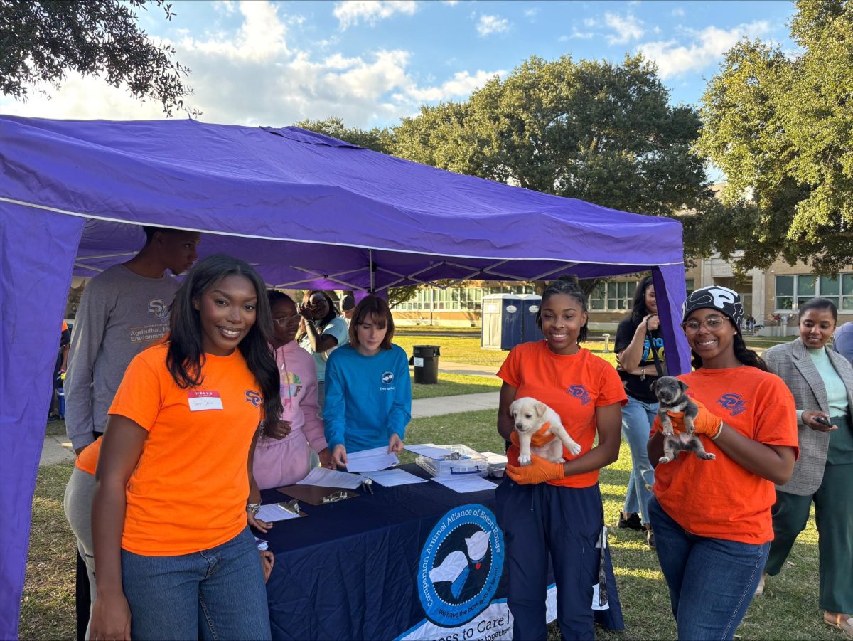 Students pictured at the Vet on Wheels event hosted by the Animal Science Pre-Vet Club on November 12 in partnership with the Companion Animal Alliance.