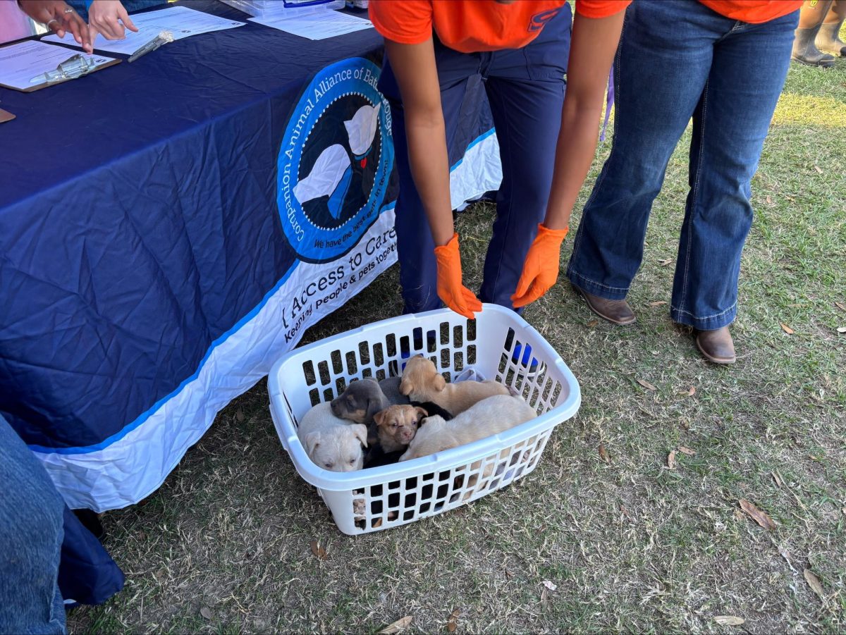 processed-D19F720D-C880-4E42-84EE-9E4ABC541B70